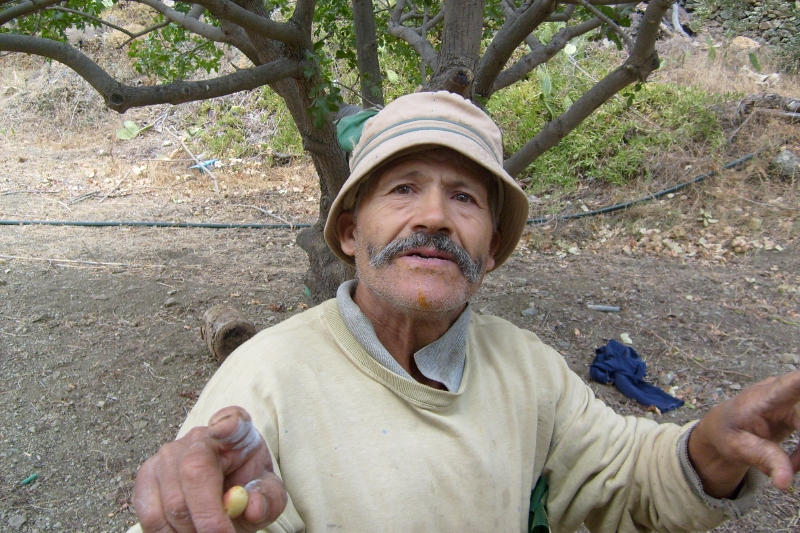 s6301422.jpg