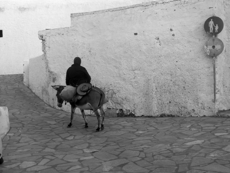 anafi267.jpg